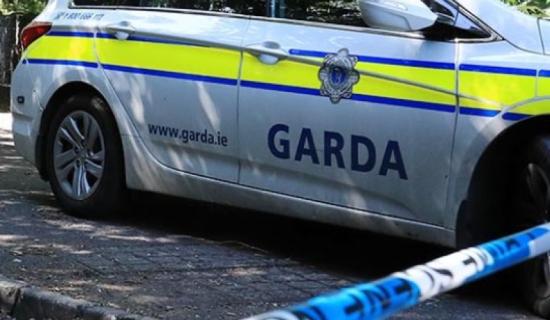 Kildare garda issues renewed information appeal relating to fatal Mylerstown road traffic collision