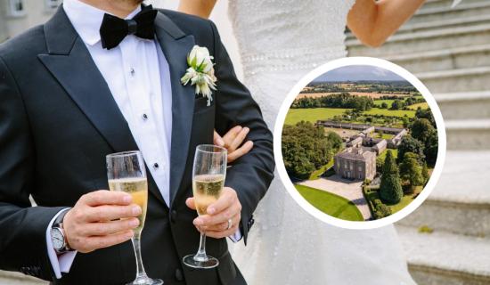 Owners of famous Kildare property plan to build stunning 'wedding village' venue
