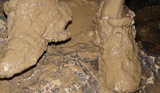 Bus stop between Newbridge and Naas is &lsquo;a mud bath&rsquo;, Kildare County Council is told