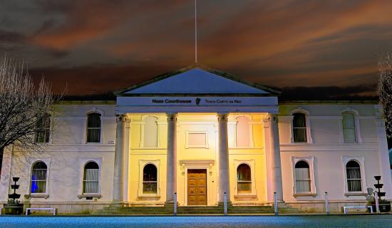 Woman was 'bitten on the nose by another female' - Kildare court claim