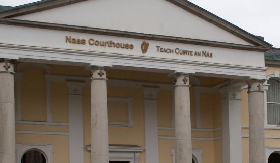 Woman 'kicked, hit and had hair pulled' at Kildare's What's The Craic Festival - court claim