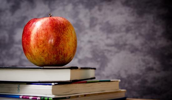 'Things are going from bad to worse': Fears that SNA crisis could hit Kildare