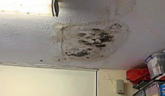 Education Minister commits two options to address dire conditions at Laois primary school