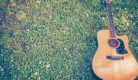 KILDARE CULTURE NIGHT: Kilcock: Live in the Garden