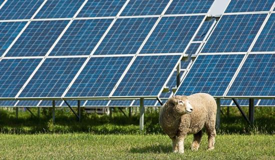 LATEST: Kildare planners block plans for &euro;40m solar farm 