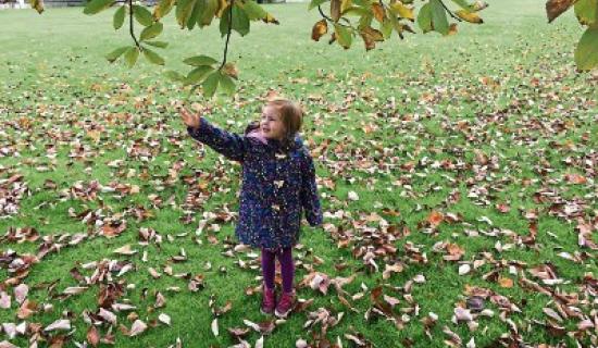 Forget Christmas, autumn's the most wonderful time of the year in Kildare