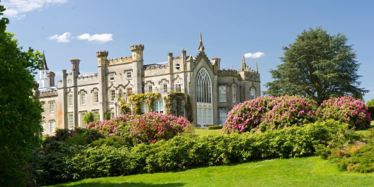 KILDARE GARDENING COLUMN: Tough, pretty and low maintenance rhododendrons