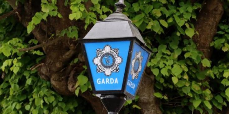 Two males charged in connection to theft incident in Kildare