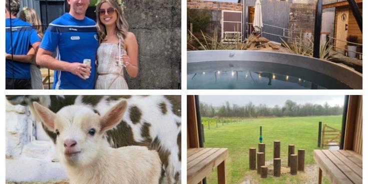 Laois couple 'blown away' as quirky business venture goes viral