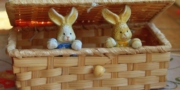 Disability charity to host Easter-themed arts and crafts fundraiser in this Kildare town