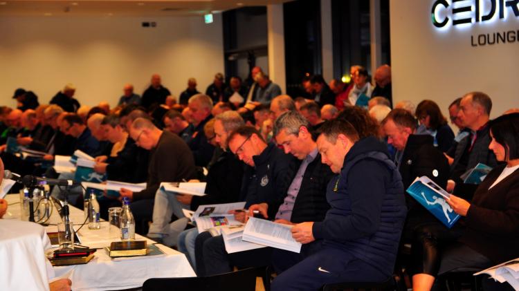 GALLERY: Photos from annual GAA convention at Cedral St Conleth's Park, Newbridge