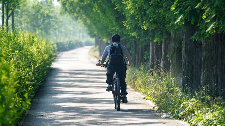Minister confirms over &euro;16 million funding secured for Active Travel and Greenway projects in Kildare.
