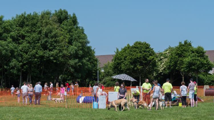 Kildare County Council told it should compel a landowner to sell a site for a dog park