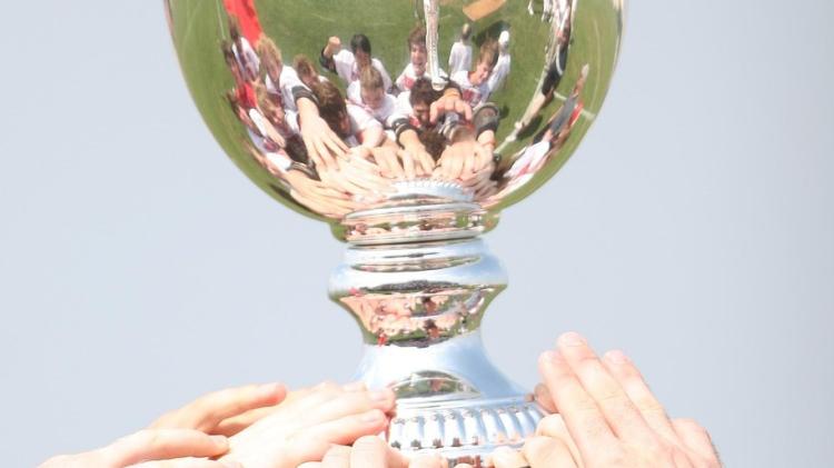 Recent sporting victories in this Kildare region &lsquo;should be recognised&rsquo;