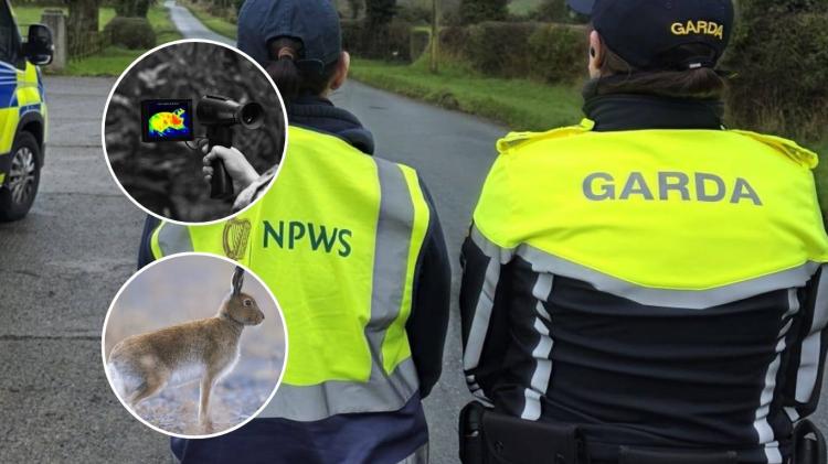 LONG READ: Inside the 'seasonal scourge' terrorising rural landowners across Kildare