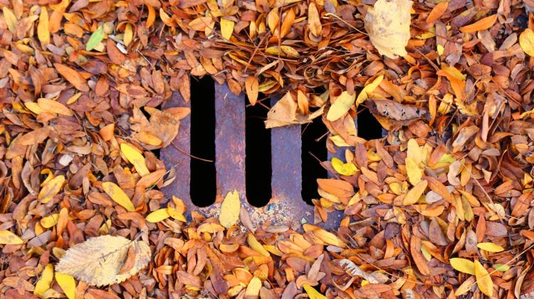 Claim that gullies in these Kildare regions 'haven't been cleaned in years'