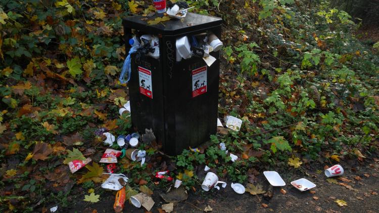 Call for more anti-litter support in this Kildare town