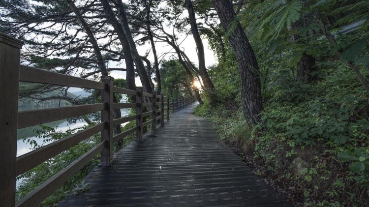 Calls for nature/biodiversity trail in this Kildare estate