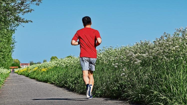 Pressure on for a public obstacle course amenity to be developed in Kildare