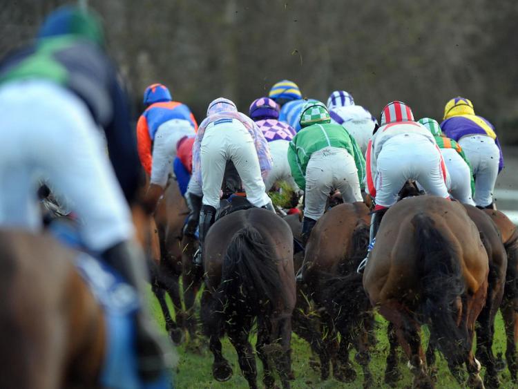 Horse Racing Ireland in Kildare launch industry wide education and