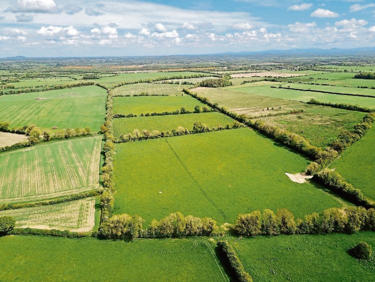 Kildare Property Watch Nurney land for sale for €12,000 per acre