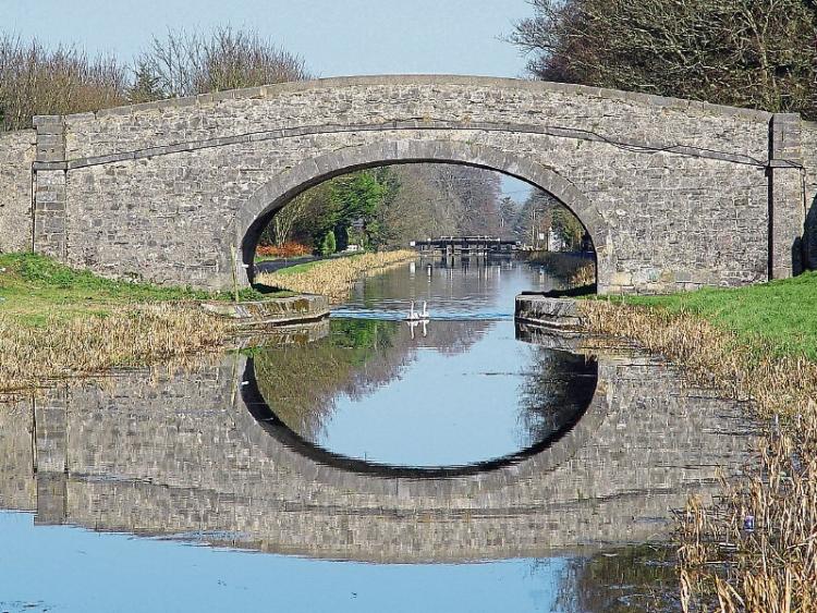 The Bridges of Kildare County Leinster Leader