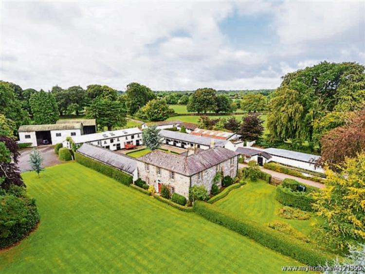 Kildare's Loughtown Stud sold for over €3m at auction Leinster Leader