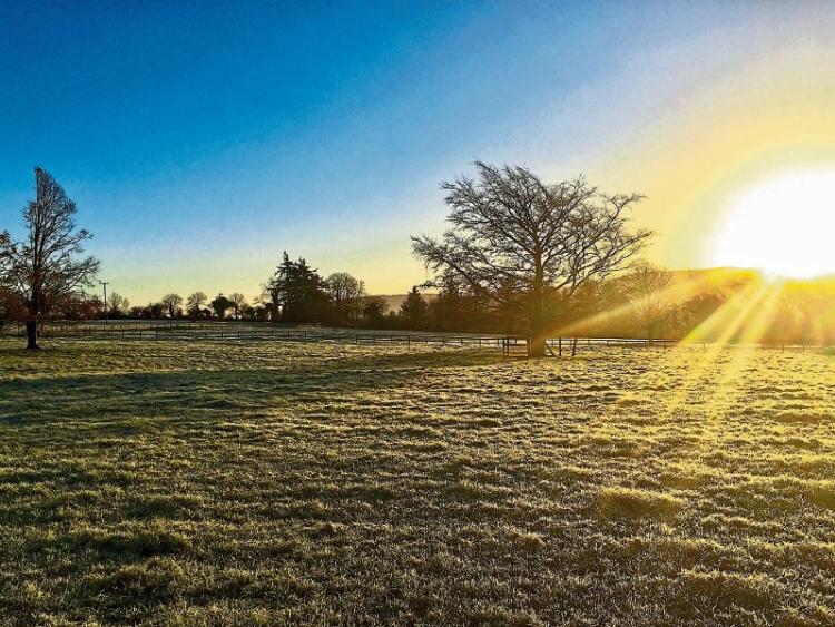 Sunny weather is predicted for Co. Kildare today - Leinster Leader