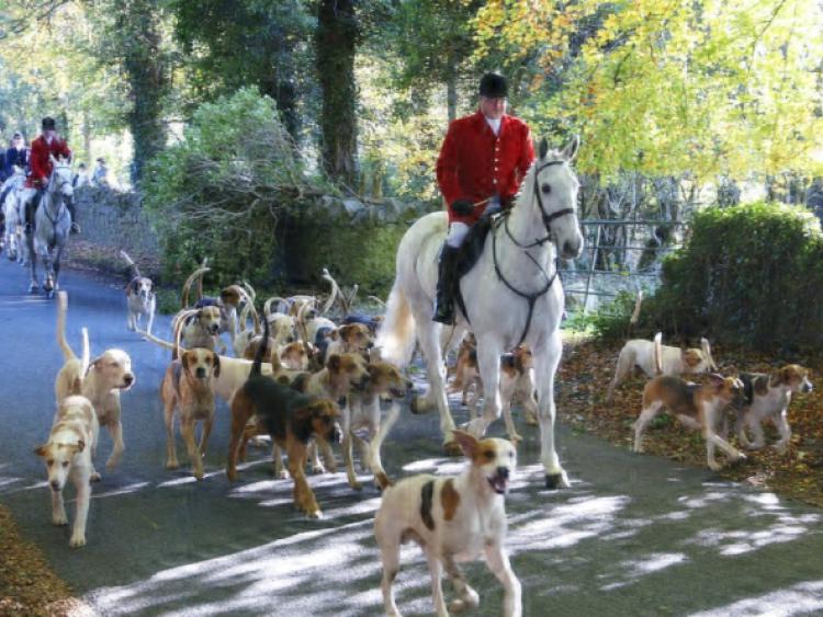 Ageold Kildare Hunt as popular as ever Leinster Leader