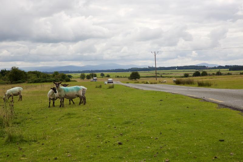 Kildare phrases for beginners