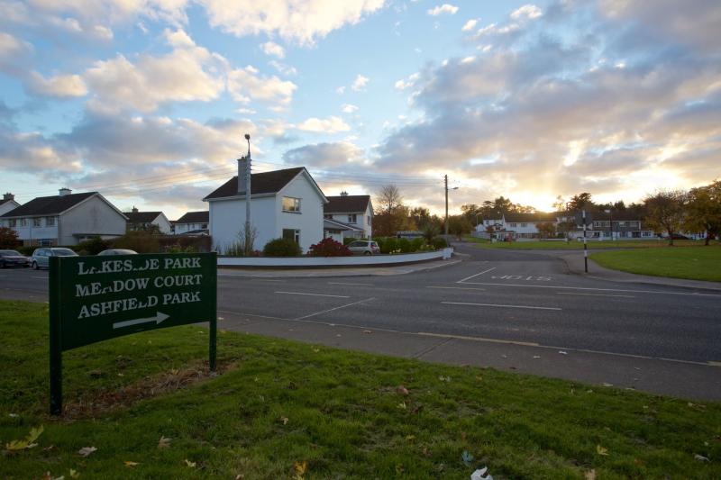 Tragic deaths of elderly Naas couple