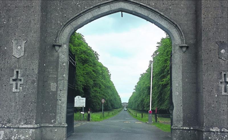 Clongowes tops table of Kildare schools