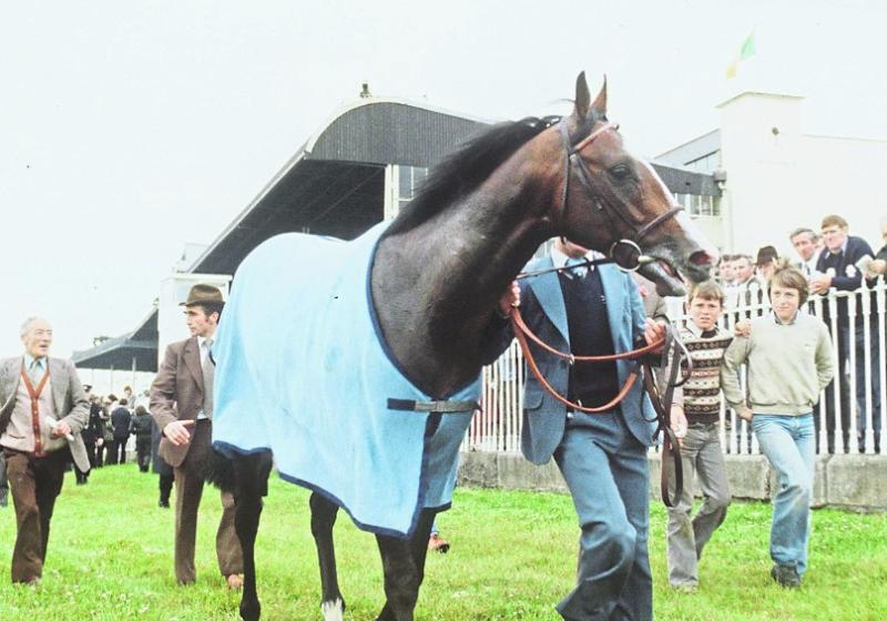 Shergar: 30 years later - From Bracknagh to Epsom: Jockey Swinburn remembers 