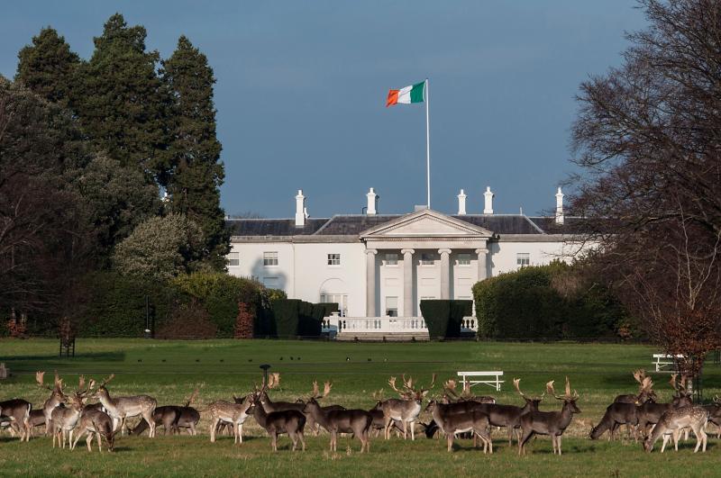 Kildare's Arts Service celebrates St Patrick’s Day at Áras an Uachtaráin