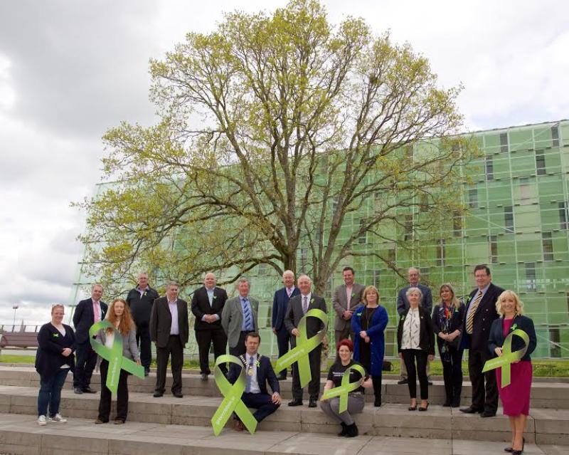 Kildare County Council HQ turning green for month of May 