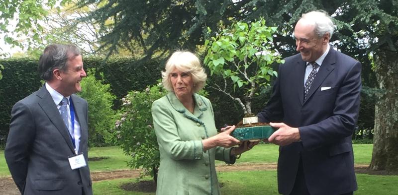 Racing legends meet Camilla at Kildare's National Stud