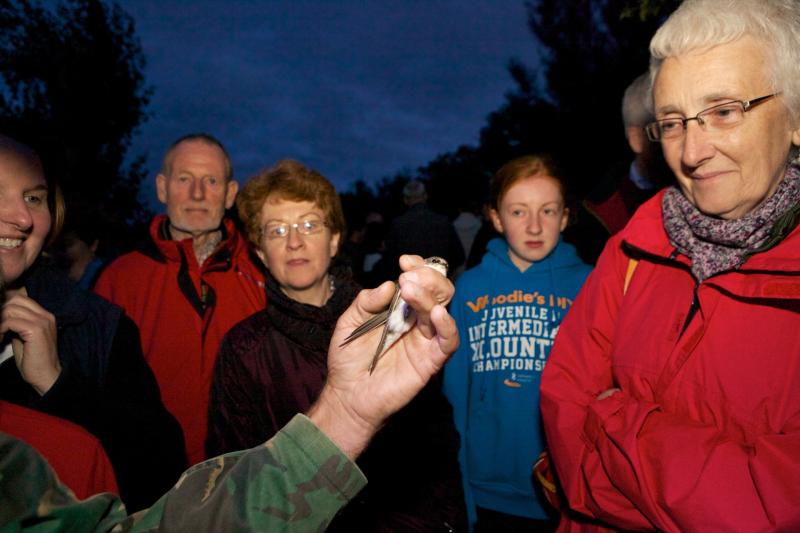 Plenty planned for Kildare's Biodiversity week