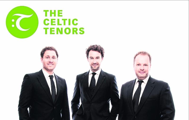 Classical and Trad music at Boyle Arts Festival