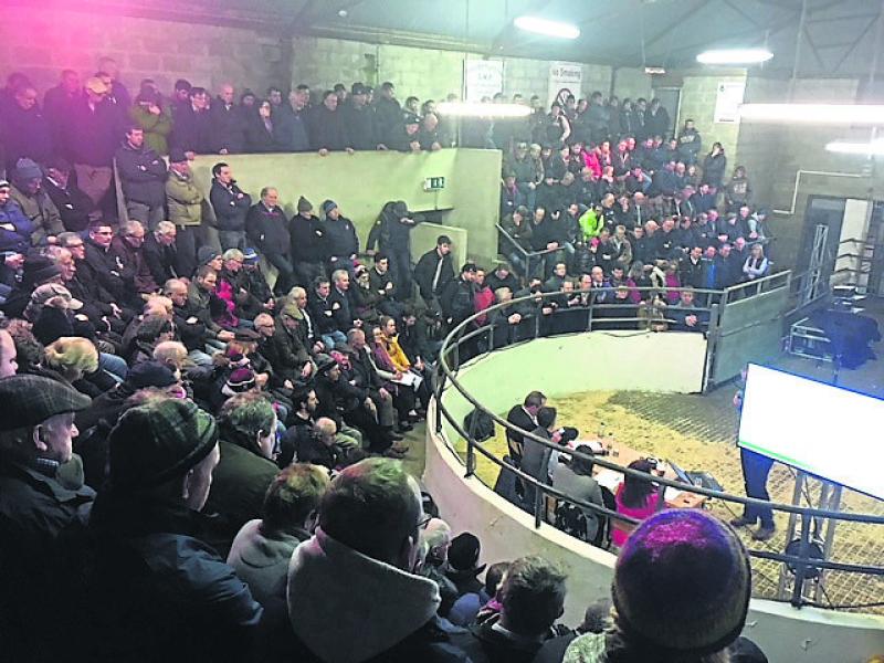 Cattle marts across Ireland to close 