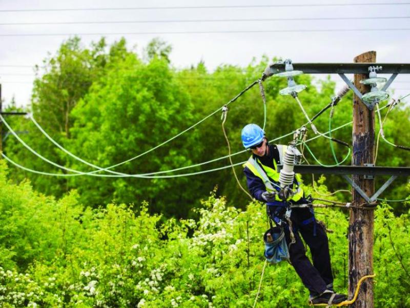 Small number of people without power in Kildare in wake of Storm Eleanor 