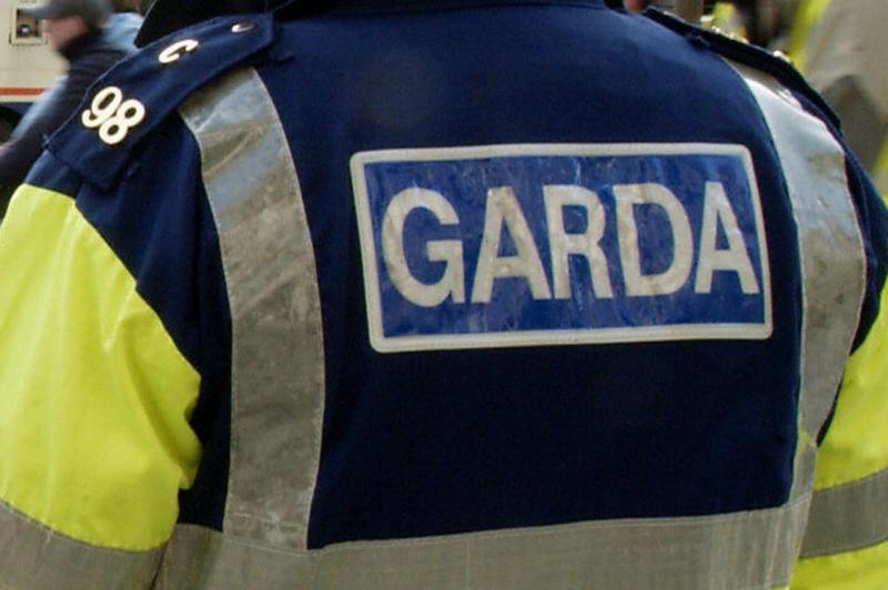 Gardaí making enquiries into presence of greyhound remains found in Newbridge, County Kildare