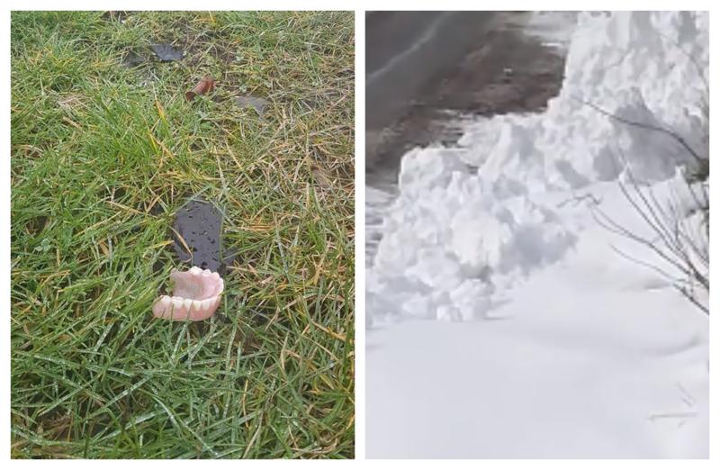 You'll never guess what's been found under the melting snow in Offaly 