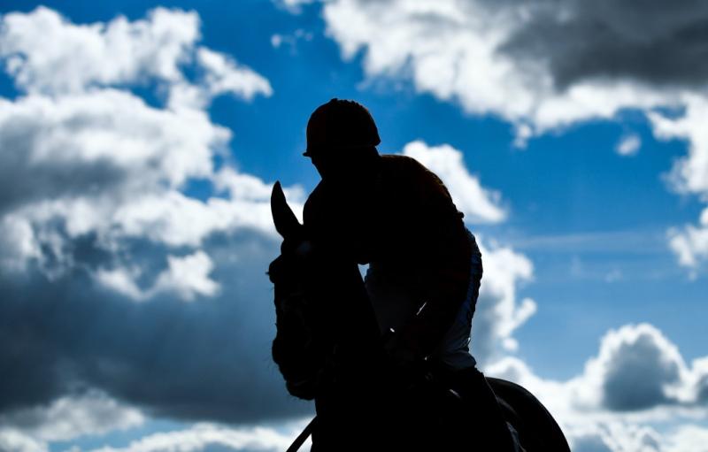 Cheltenham Festival Tips - Day Two picks