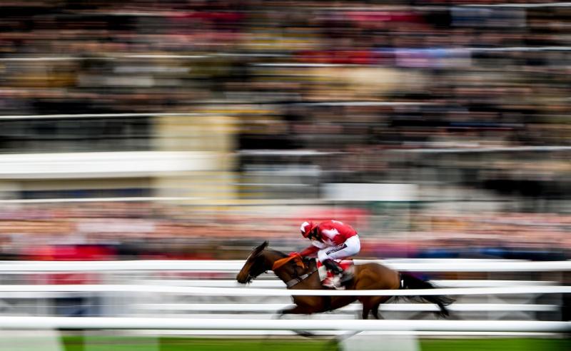 Cheltenham Festival Tips - Thursday's Top Picks