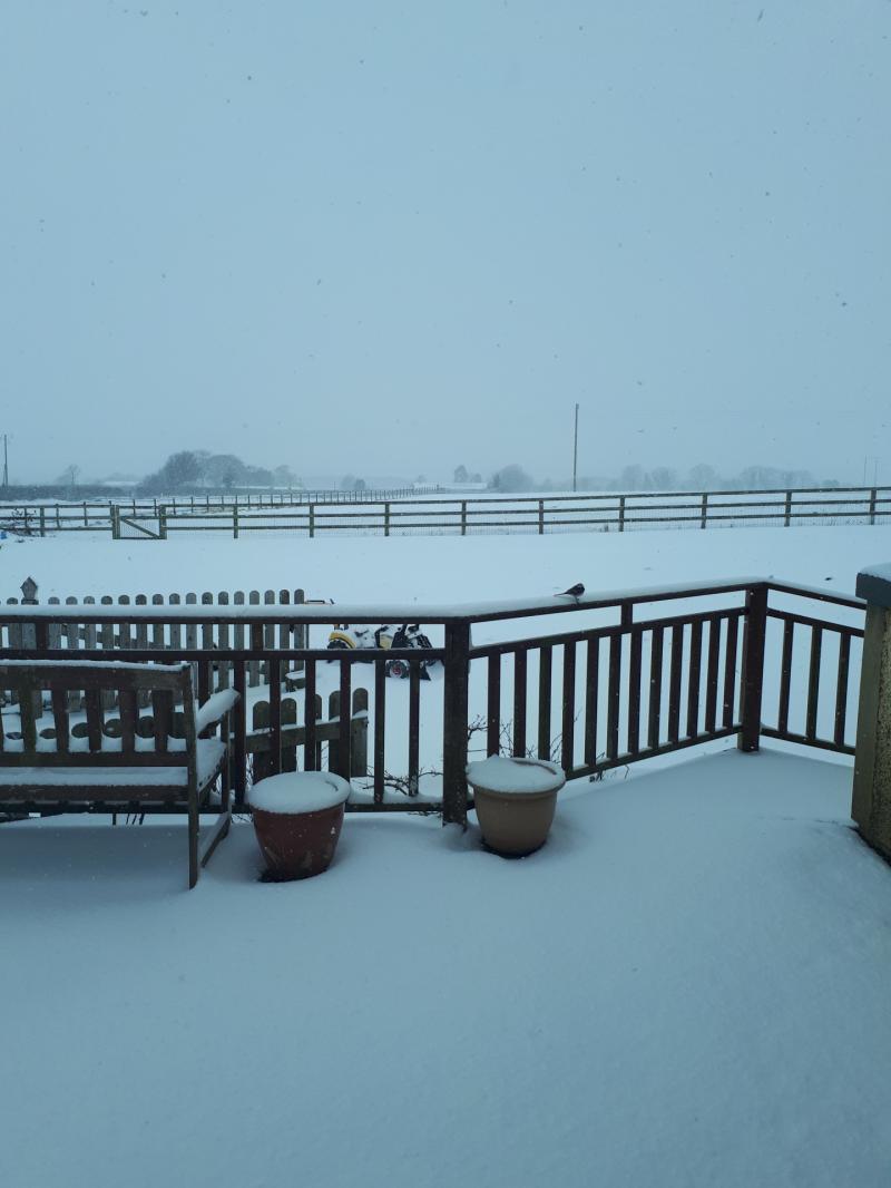 Gardai warning Kildare motorists not to travel unless nessacary due to snow