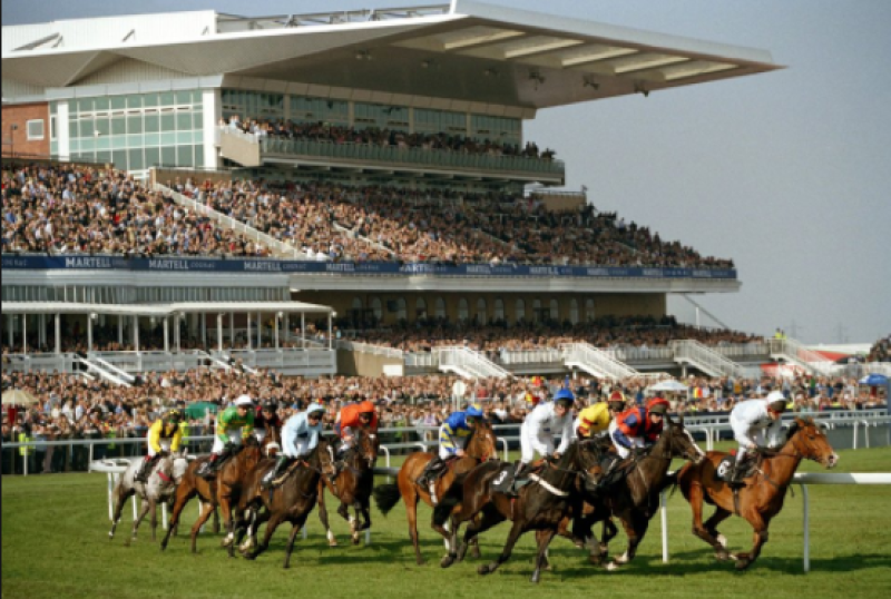 THE PUNTER'S EYE: Aintree Grand National 2018 Tips and Race Preview 