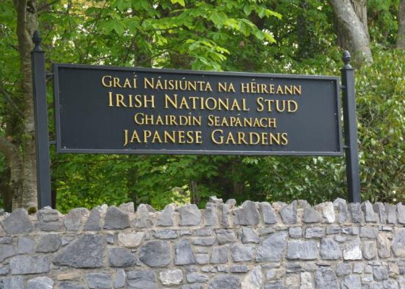 Kildare's National Stud lodge plans to build interactive museum