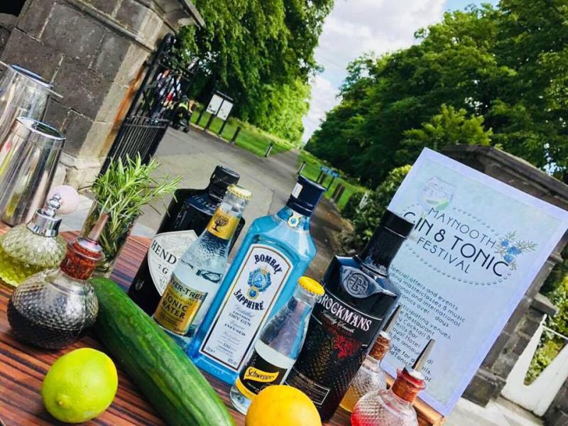 Gin and Tonic festival kicking off in Kildare next week