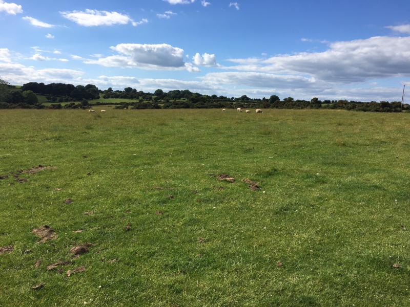 KILDARE PROPERTY WATCH: 36 acres sold at auction for €415,000 near Dunlavin