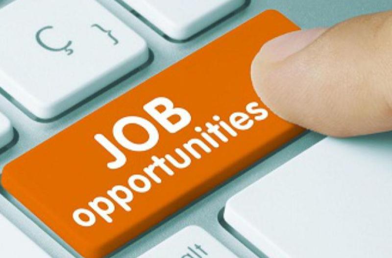 Kildare TD welcomes record job creation by Enterprise Ireland firms in 2021